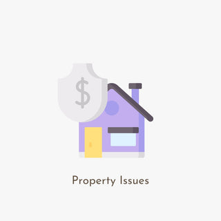 Property Issues