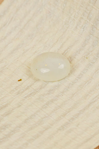 Light-Coded Moonstone- 4.31 Ct