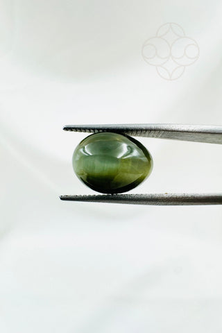 Light-Coded Cats Eye - 4.29 Ct