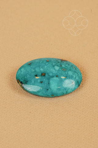 Light-Coded Premium Turquoise - 21.8 Ct