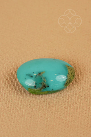 Light-Coded Premium Turquoise - 14.75 Ct